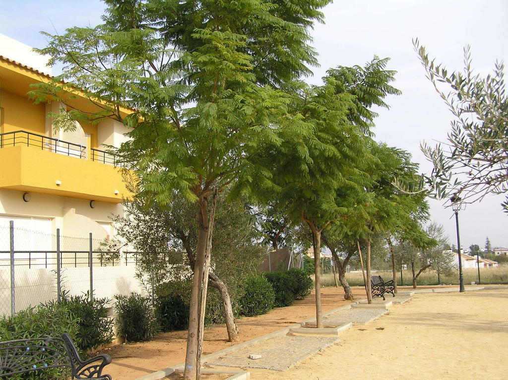 Apartamentos Turisticos Los Girasoles Espartinas Zewnętrze zdjęcie